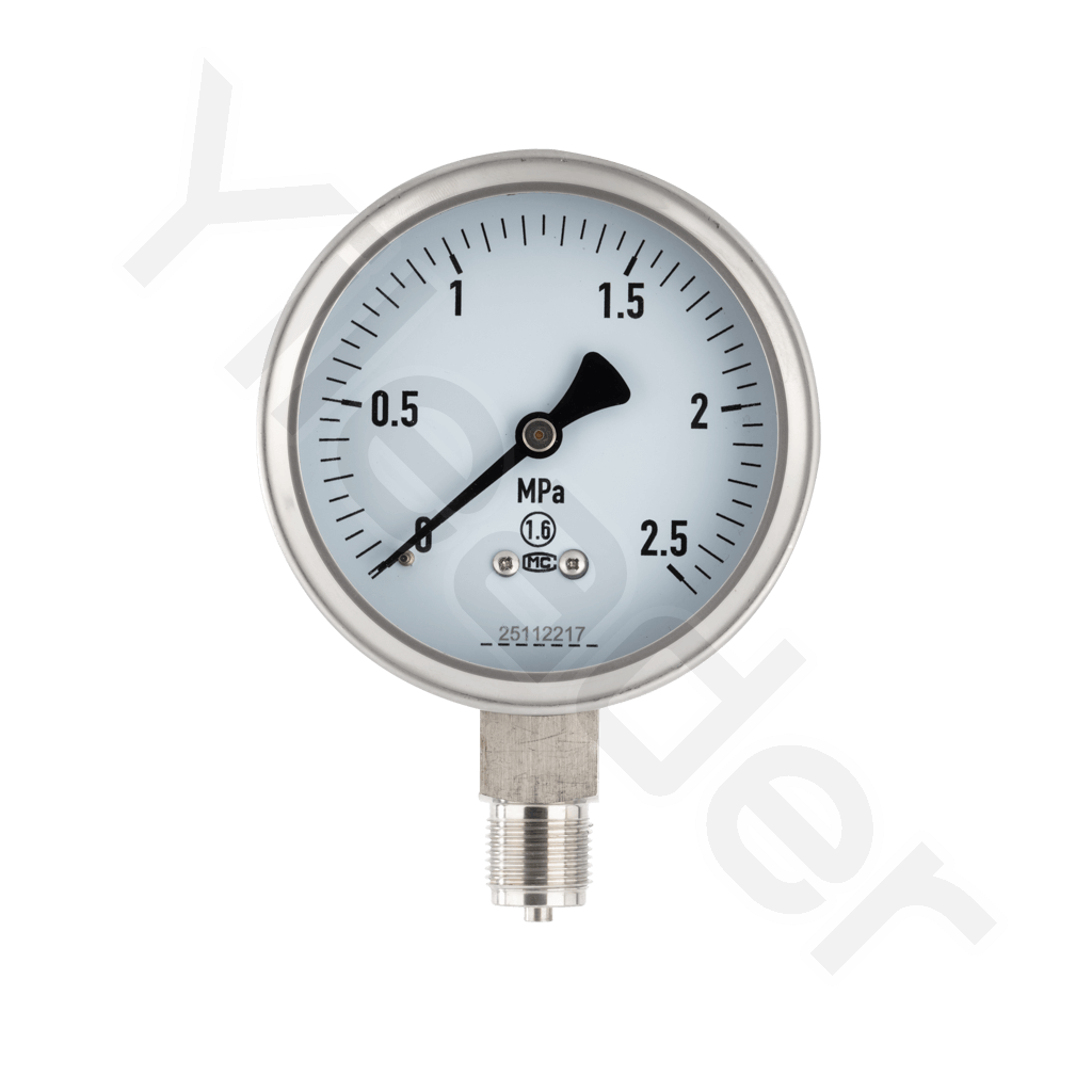 Stainless Steel Pressure Gauge