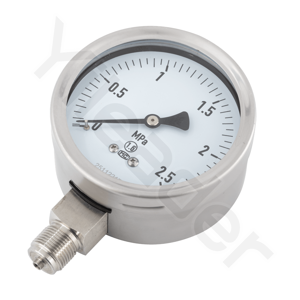 Stainless Steel Pressure Gauge